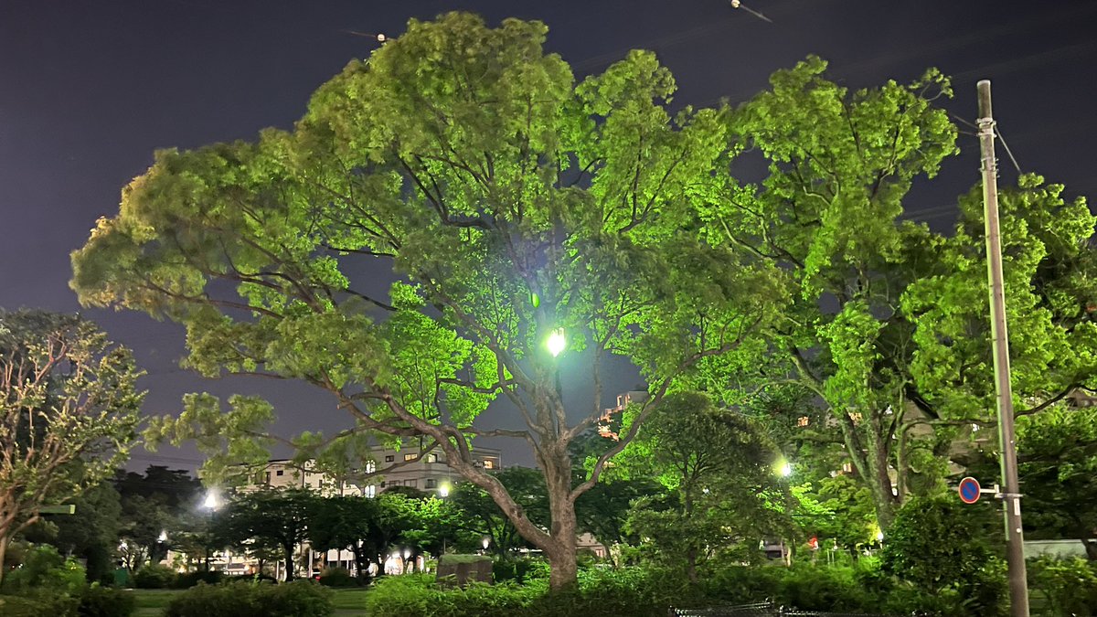 atchutk's tweet photo. Let your light shine so brightly that others can see their way out of the dark. https://t.co/HY2zZgySlB