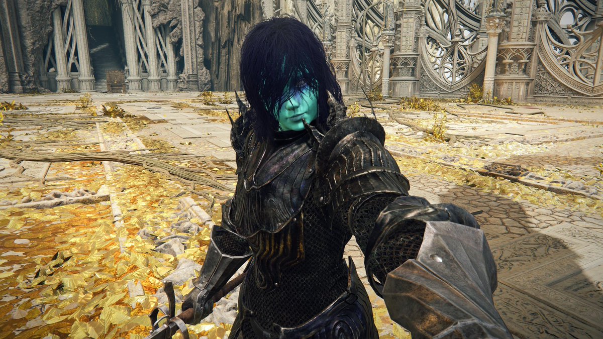 just learned you can take selfies in elden ring. this is the coolest thing ever