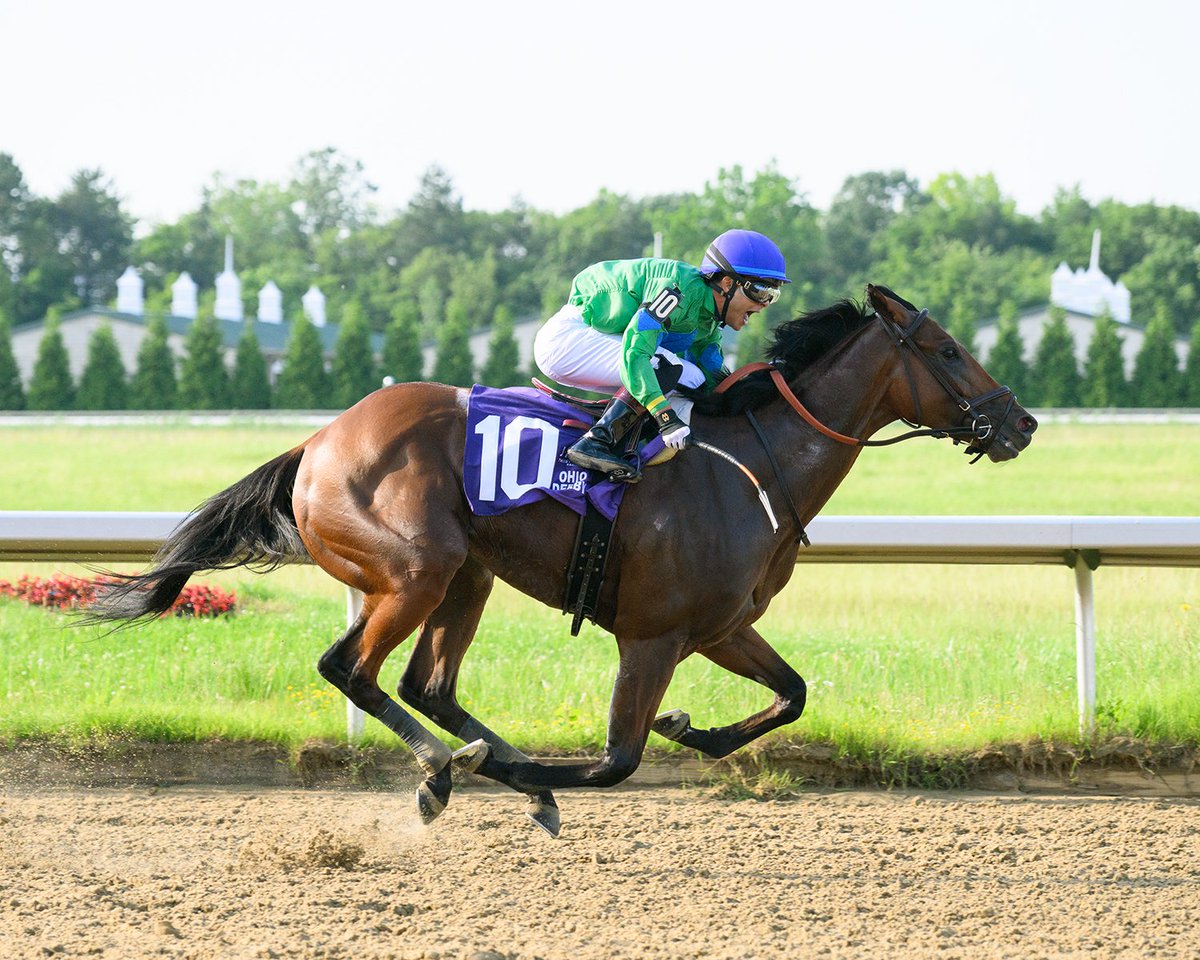 MattHook6's tweet image. I was impressed with Mo Plex in the Ohio Derby. Strong performance and improving every start. A horse to watch.
Dale Dengerd - J Zamaiko Photography