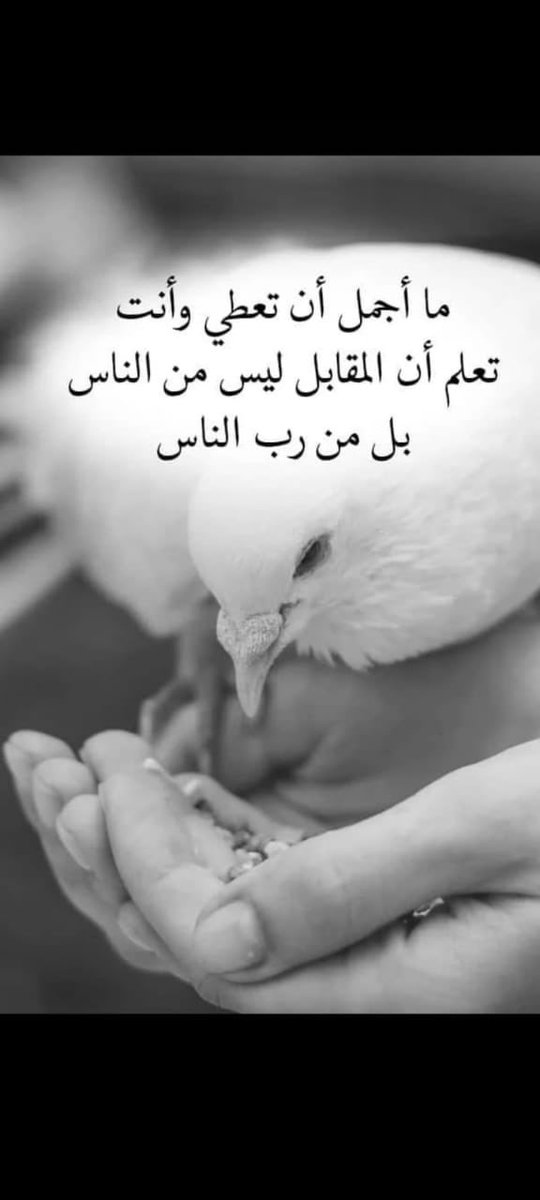 حَـنِــيْـــنْ (@hannoo_1212) on Twitter photo 