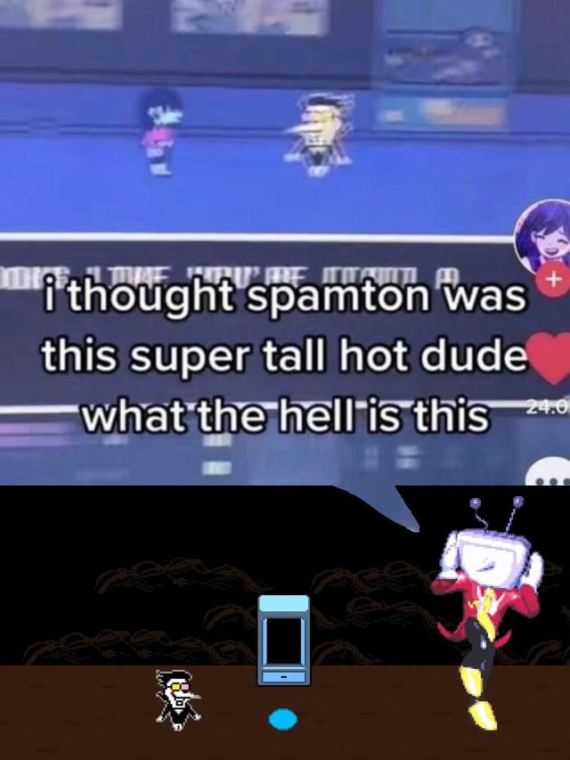 aracnocat tweet media