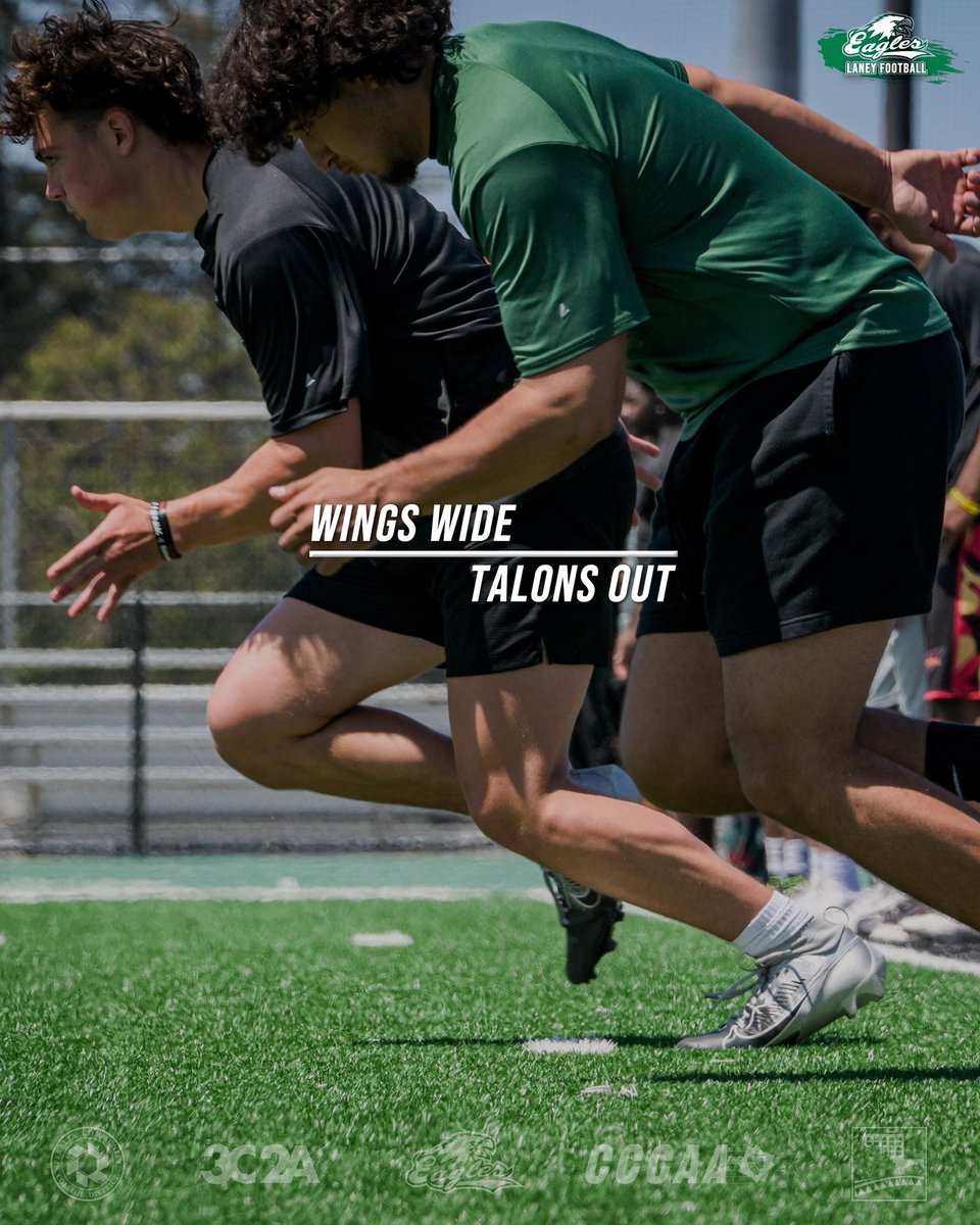 LaneyCollegeFB's tweet image. There’s no way around it, you gotta put in the work 🏃
.
From the beginning of practice until the final whistle-if you’re on the field you’re in the game 👏🏼
.
#LaneyBuilt #LaneyCollege #PeraltaColleges #Oakland #CCCAA #JUCO #WingsWideTalonsOut