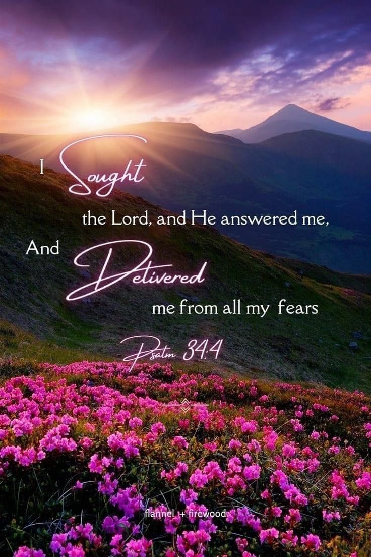 𝓕𝓸𝓻𝓰𝓲𝓿𝓮𝓷 (@theonlywaytogod) on Twitter photo 