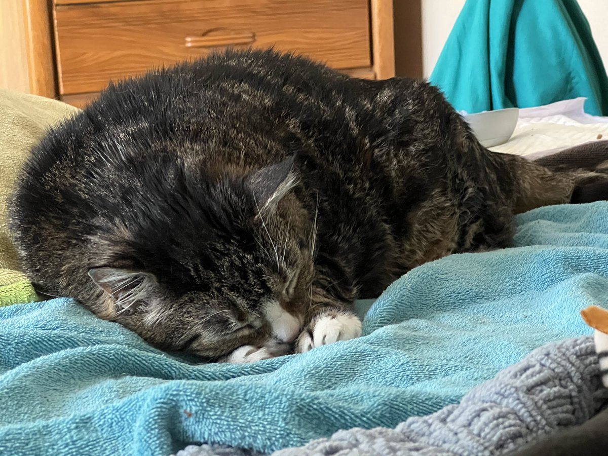 Well, it’s been a long day so I’m gonna call it and say good night and we’ll see you on Monday as we have #noserviceSunday tomorrow