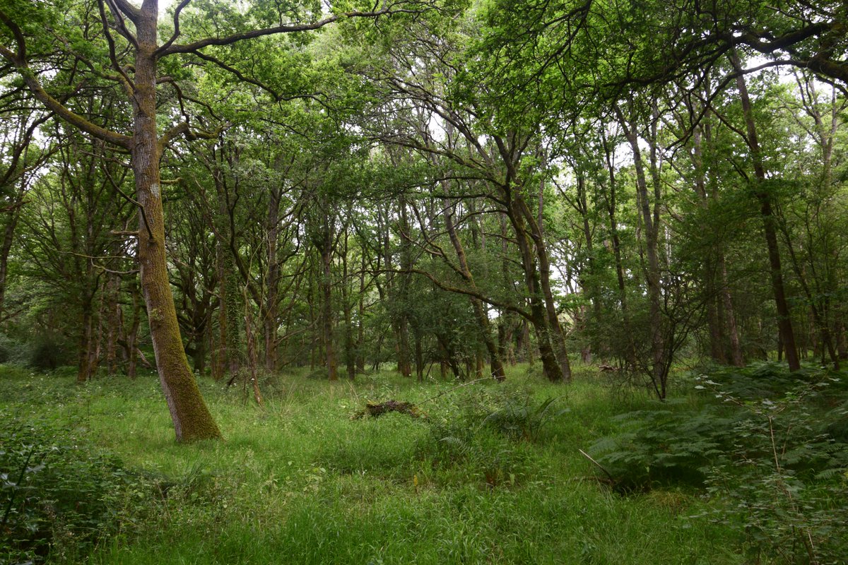 Memories from a long walk
