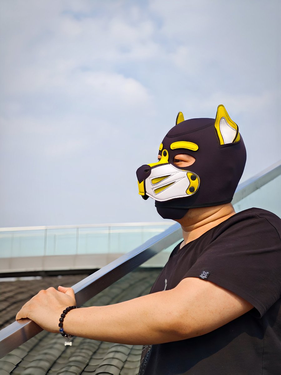 #沙雕萌犬
被主人带着遛弯，前方发现自己本体，围着橙色雕像撒欢，大叫两声“汪，汪”（意思是“变身”），对变身为沙雕小狗……晴朗的天空，45°角仰望天空，突然哲学汪附体：我为什么是狗？尾巴为什么不受控？15分钟了！人类懂不懂等待的煎熬？忧郁…思考宇宙奥秘…算了，先舔舔jio，汪生不值得。