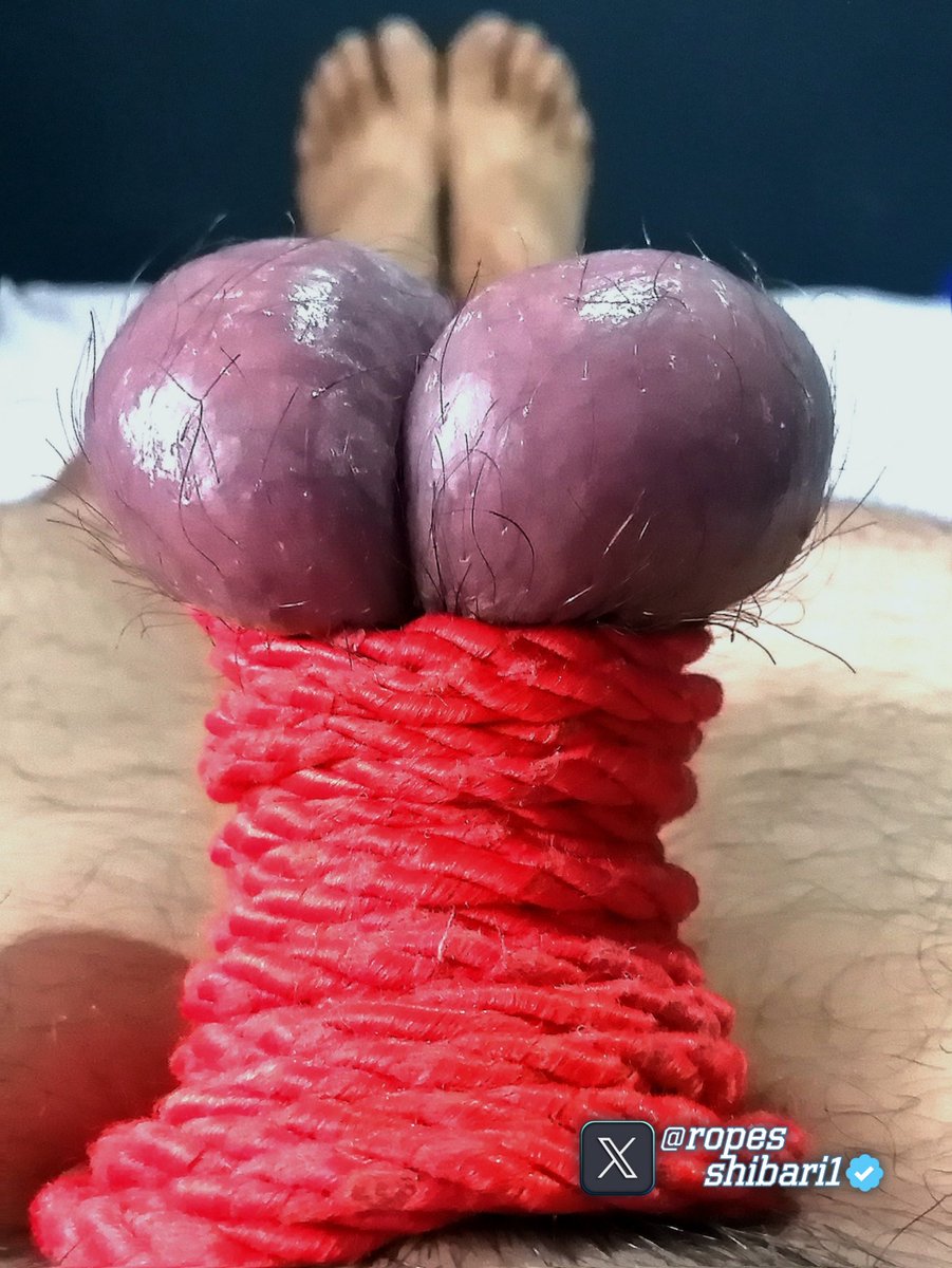 ropesshibari1's tweet photo. https://t.co/P7DqltjdNn