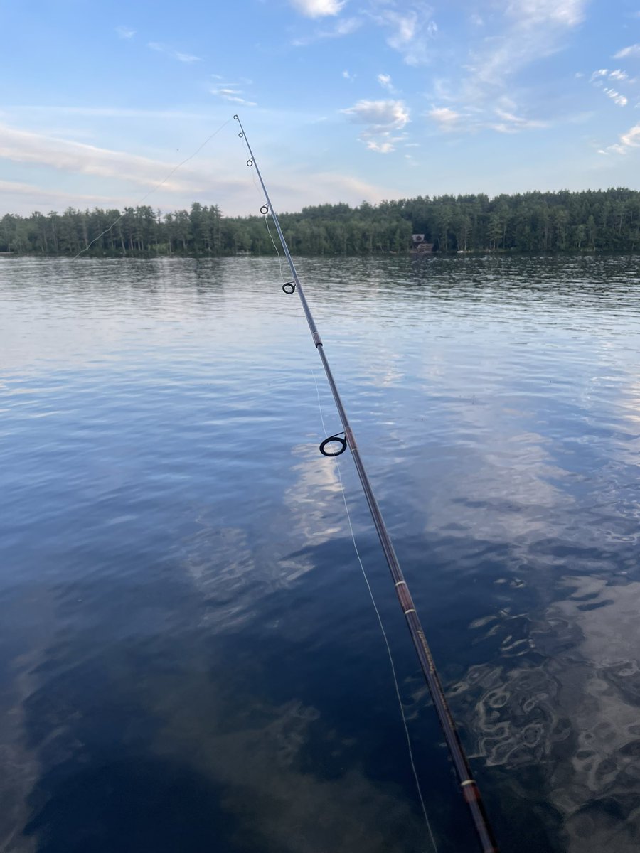 P.K. Highsmith tweet media