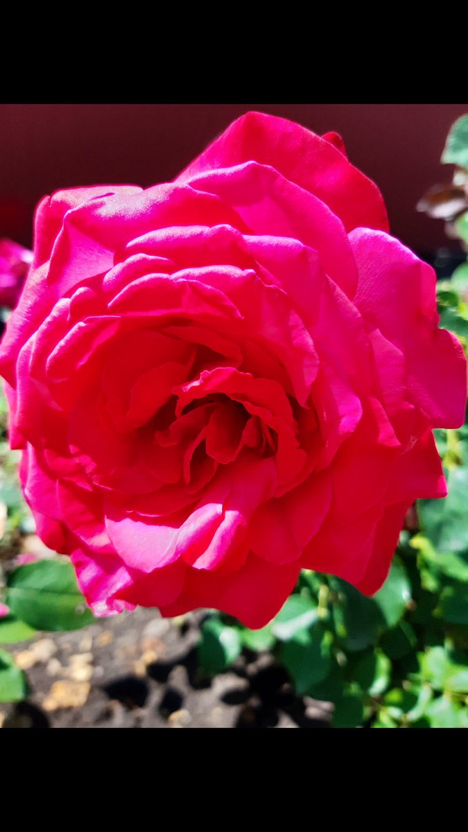 Kate Drawdy (@gummoxxx) on Twitter photo 