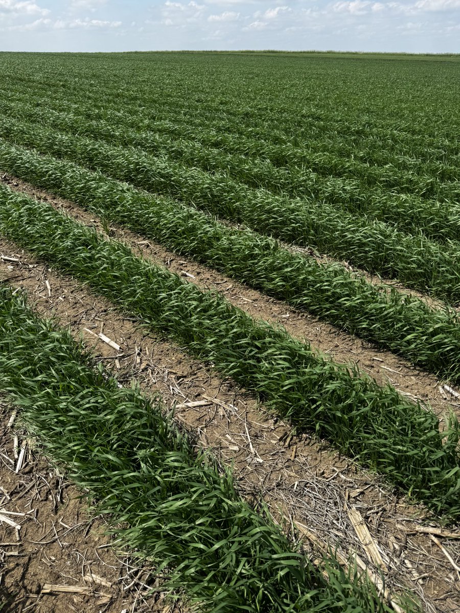 Tanner Vix tweet media