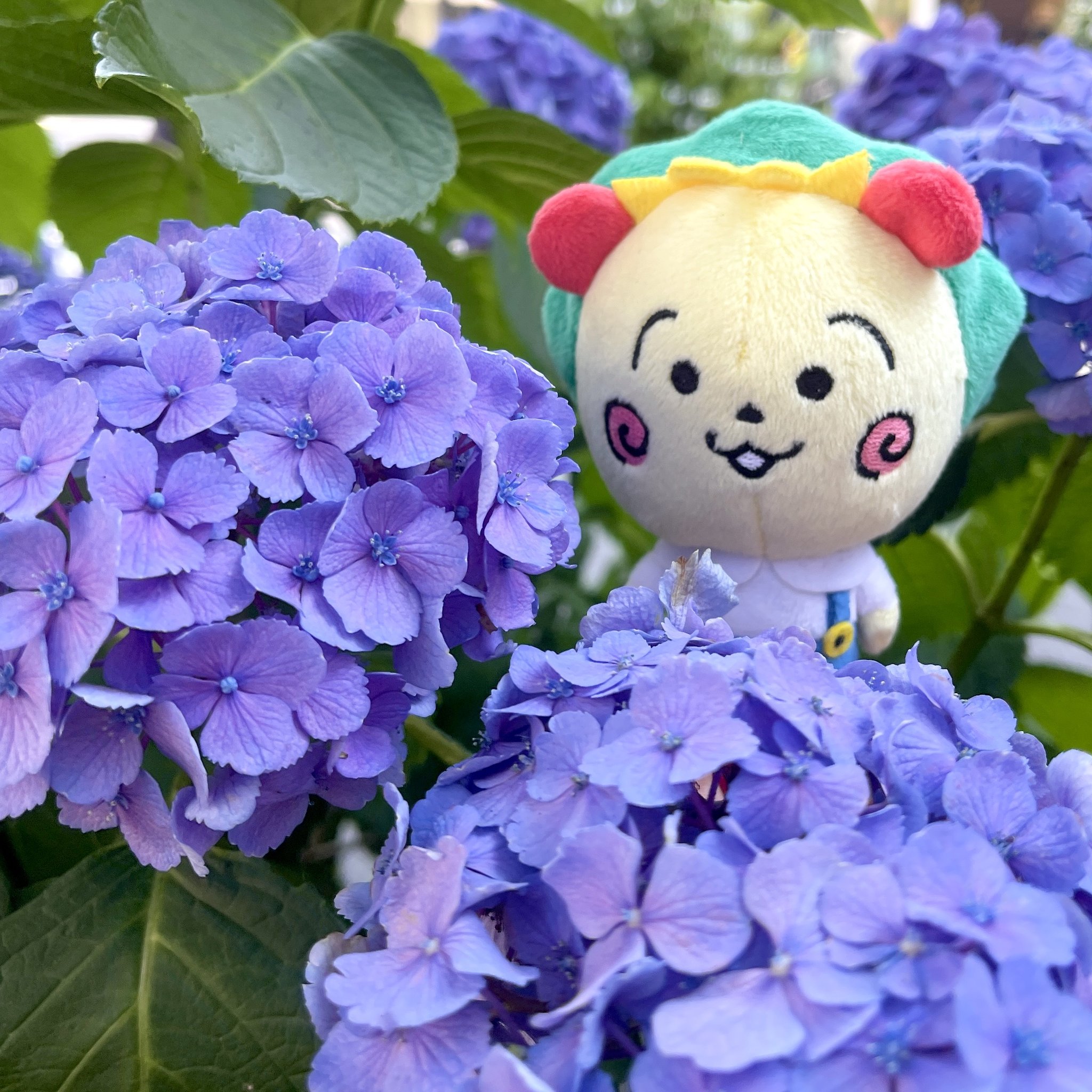 コジコジ♡ さくらももこ劇場 コジコジ