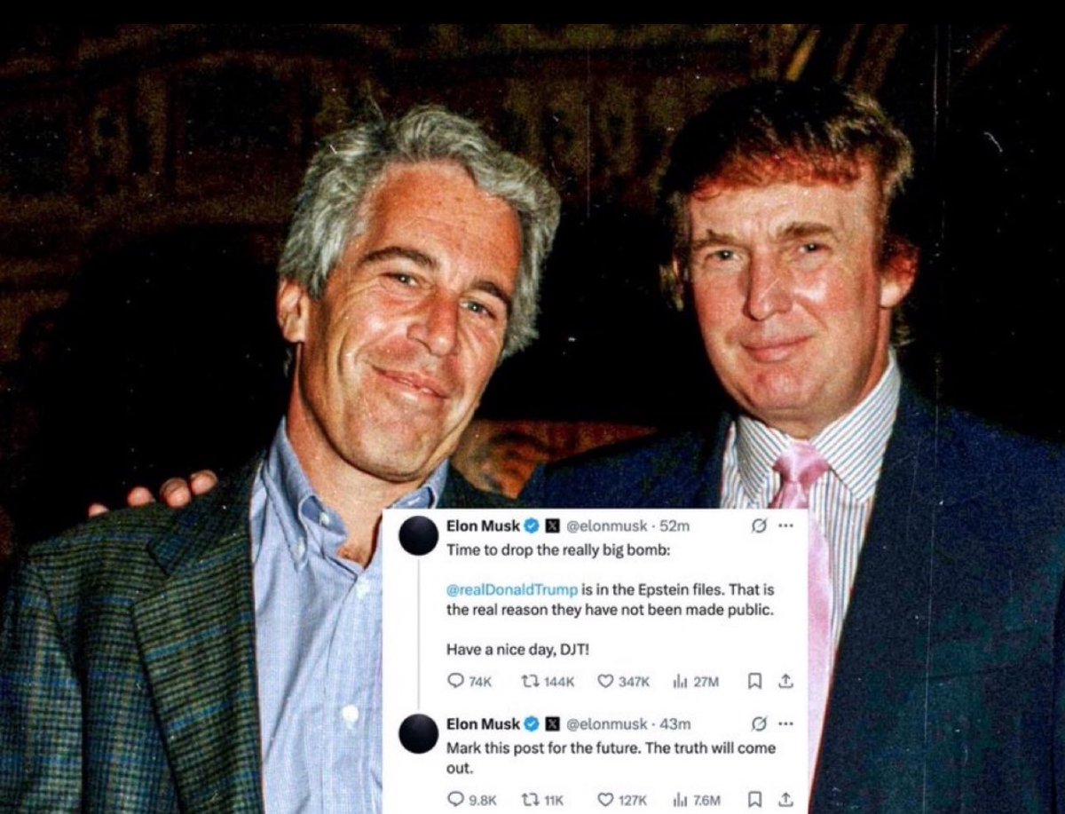 Truth Seeker tweet media