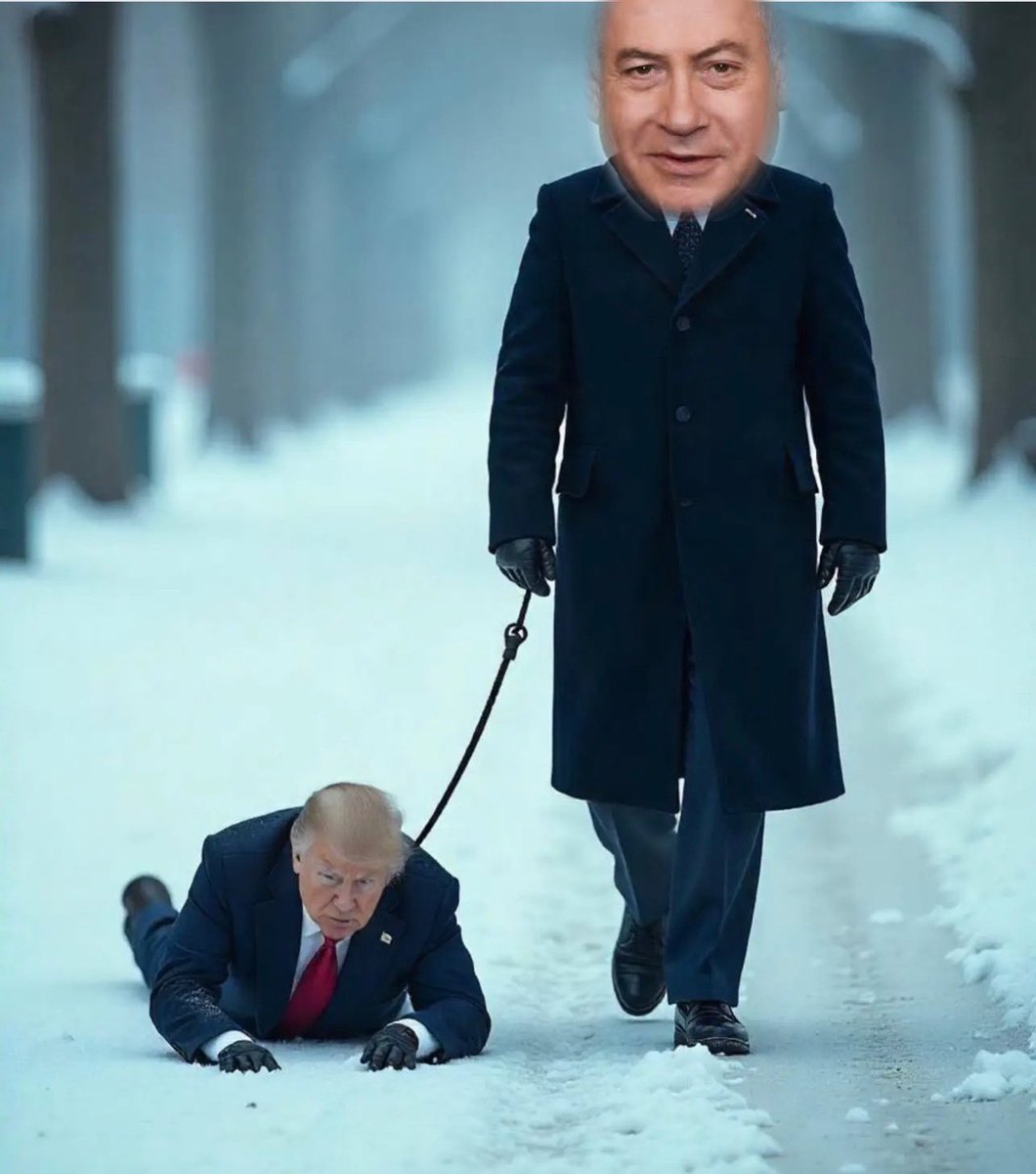 blake (@blakestonks) on Twitter photo 