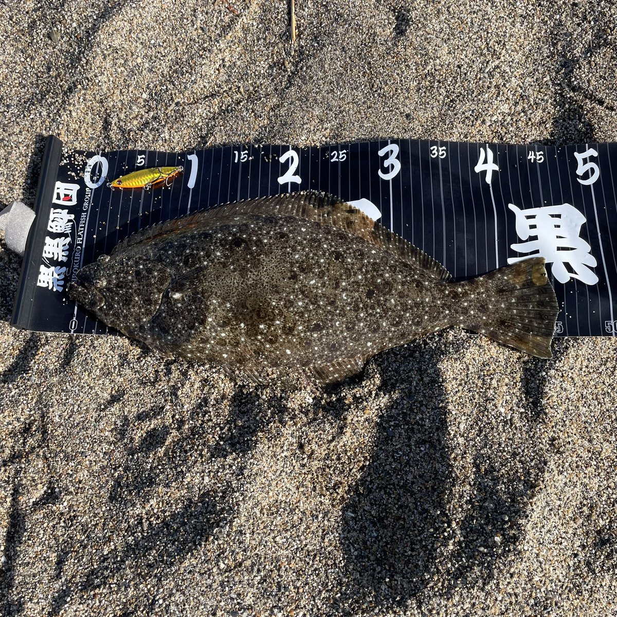 スレですがなんとか釣れました！
#2025黒黒メジャー杯