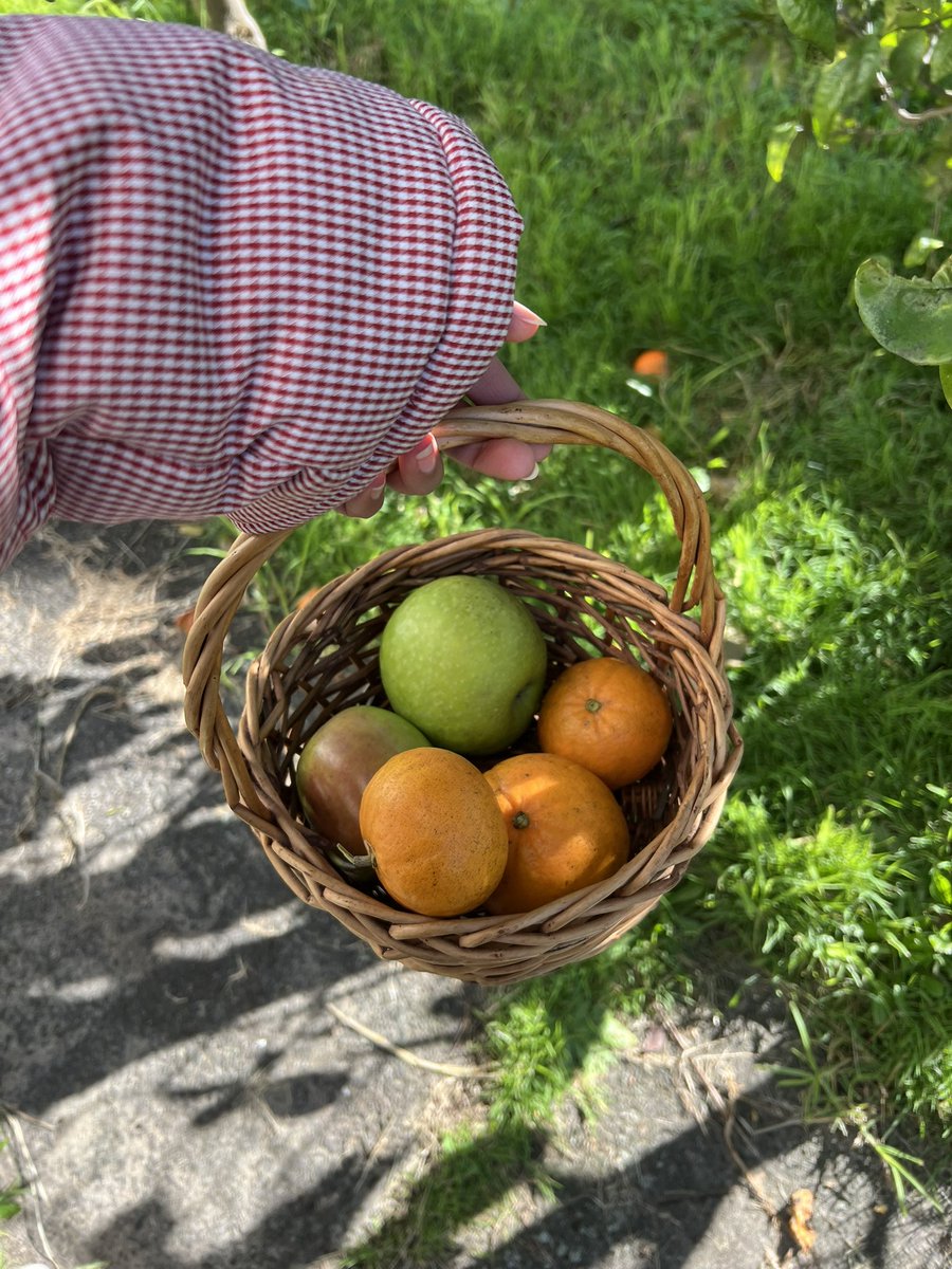from the garden this morning