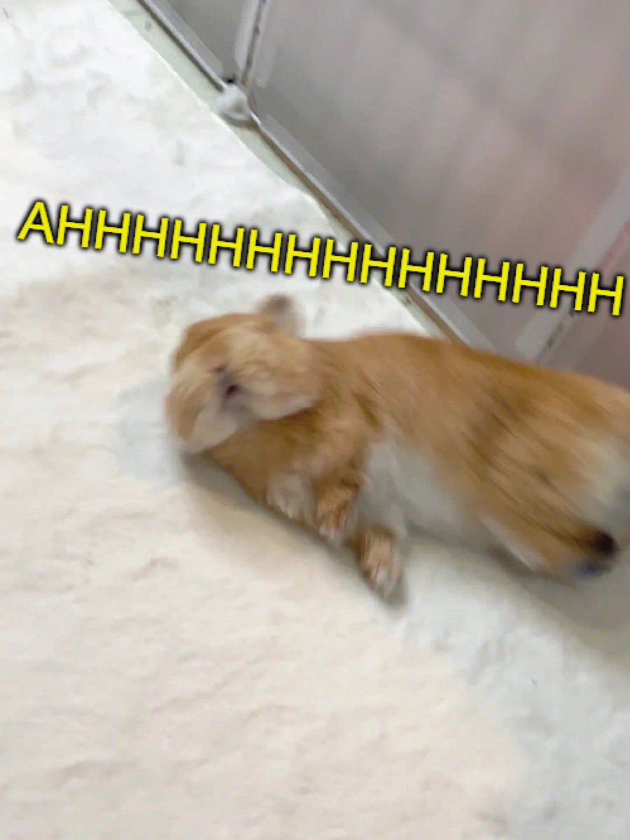 thebobafiend's tweet image. 