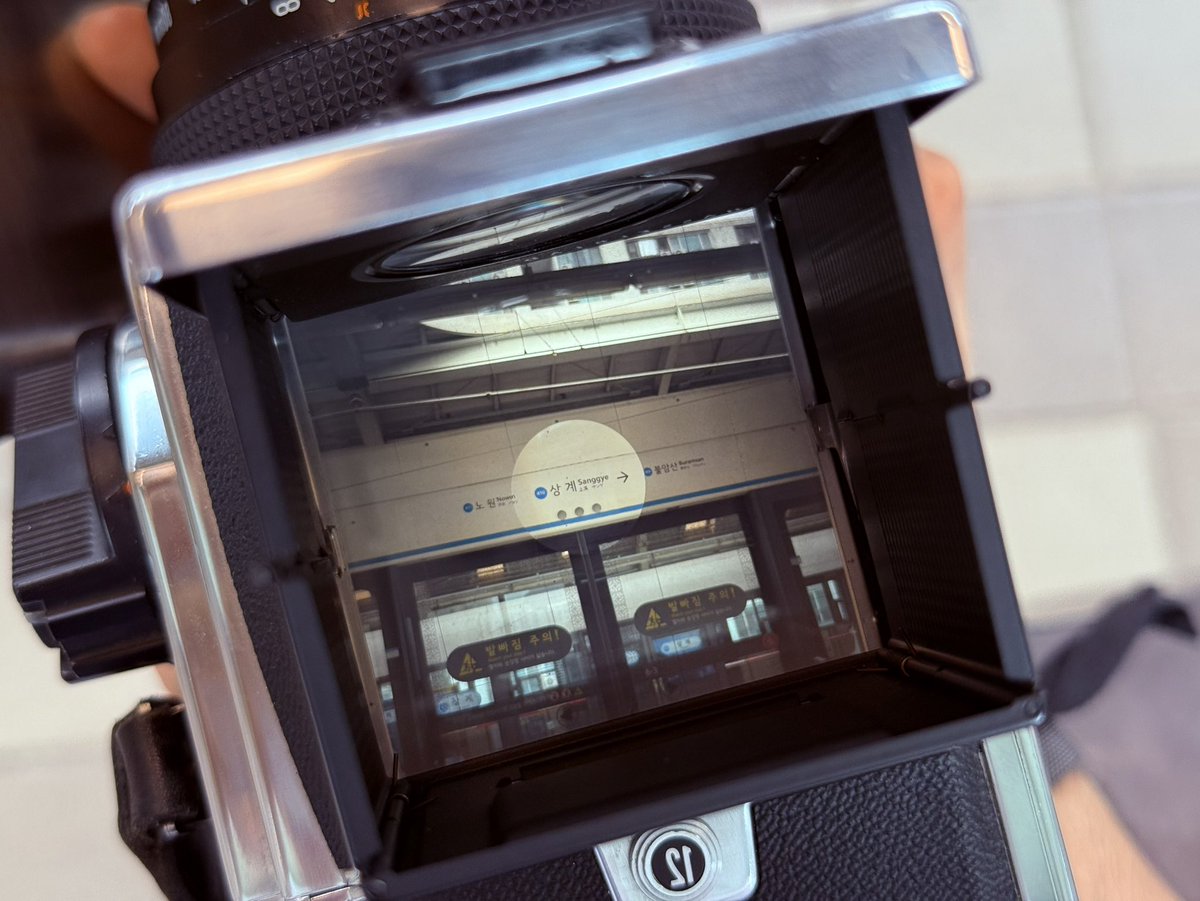 핫셀로 보는 세상