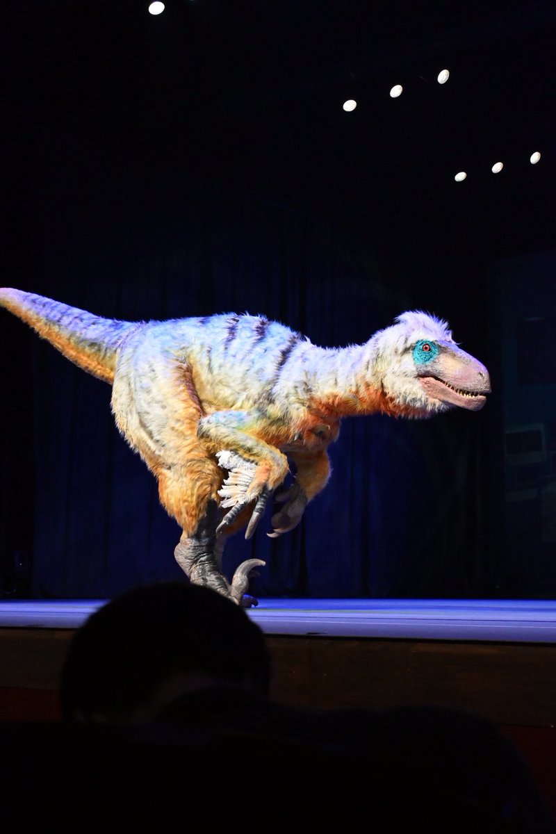 soracoco_papa's tweet photo. 2025年4月29.30日に
札幌文化芸術劇場hitaruで行われた
恐竜ラボ🦖🦕 @kyoryulabo 

まるで生きているかのような特大恐竜達と、演技力が凄いキャストの皆様✨@m_bigbaby @yuta_b_left 

また公演があれば見に行きたい‼️

本日12時YouTube🆙

#恐竜
#恐竜ラボキングオブハンターズ
#札幌
#おすすめ https://t.co/SaWlQuq4U4