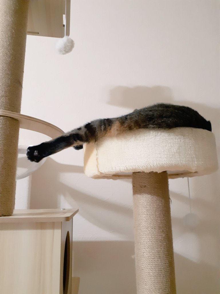 おはようございます
気圧低いのか、今夜から雨か
頭痛いなー( ；∀；)
謎物体がはみ出てる
今日も頑張っていきます！