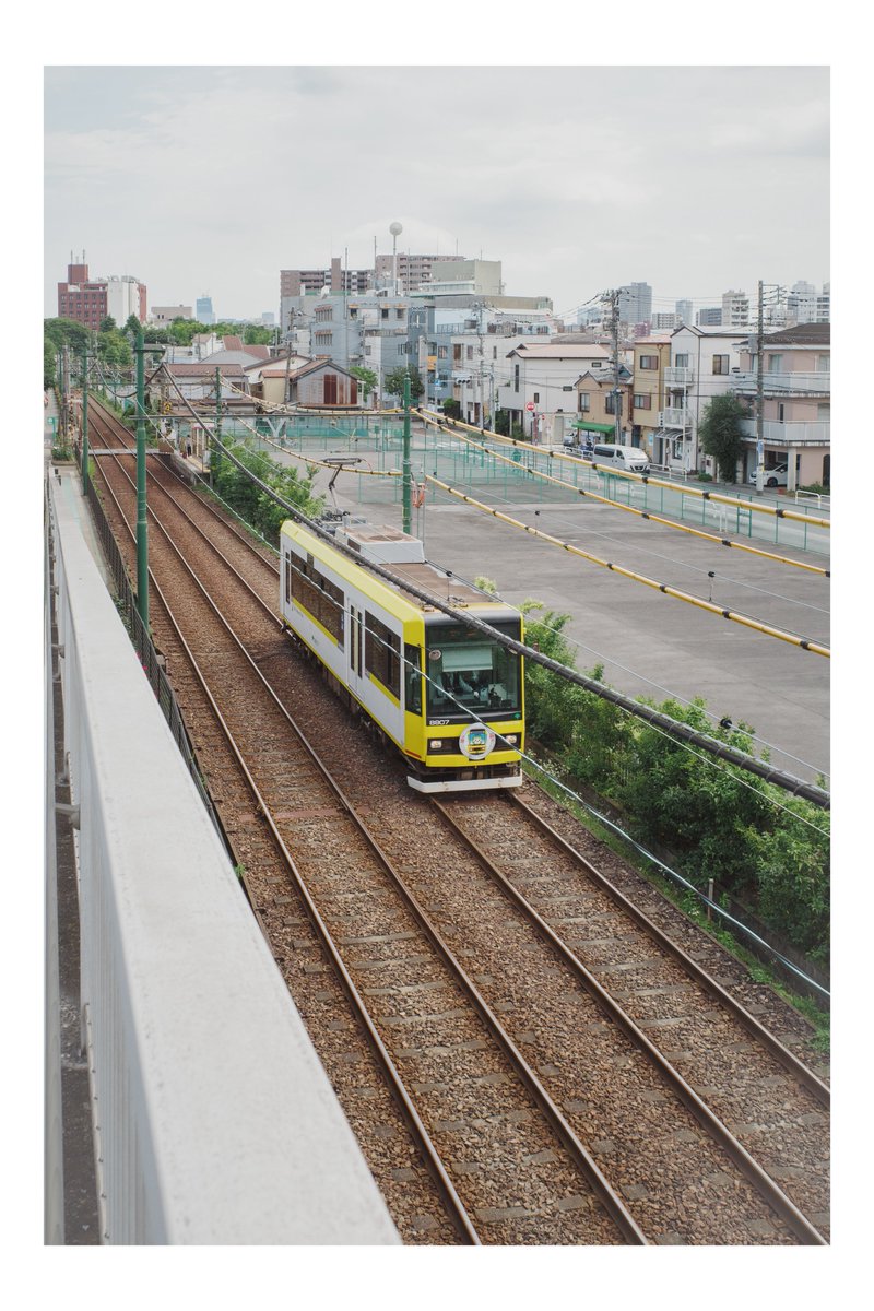 ph_classica's tweet image. 練り歩き

#都市風景