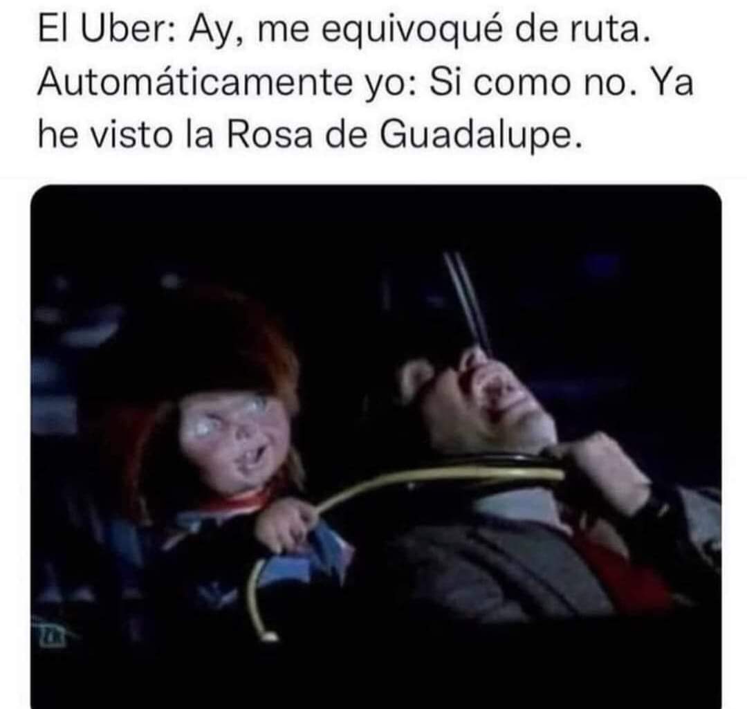 ruth_zoe's tweet photo. 🤣 https://t.co/VgU3JP5uKT