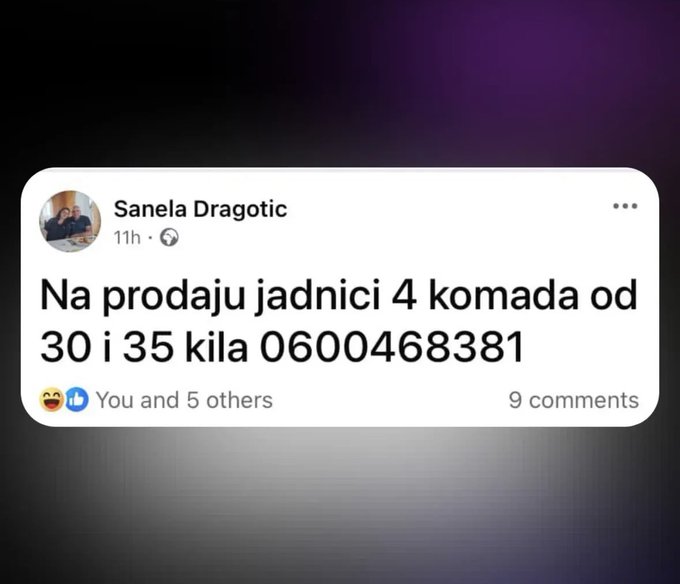Tweet media