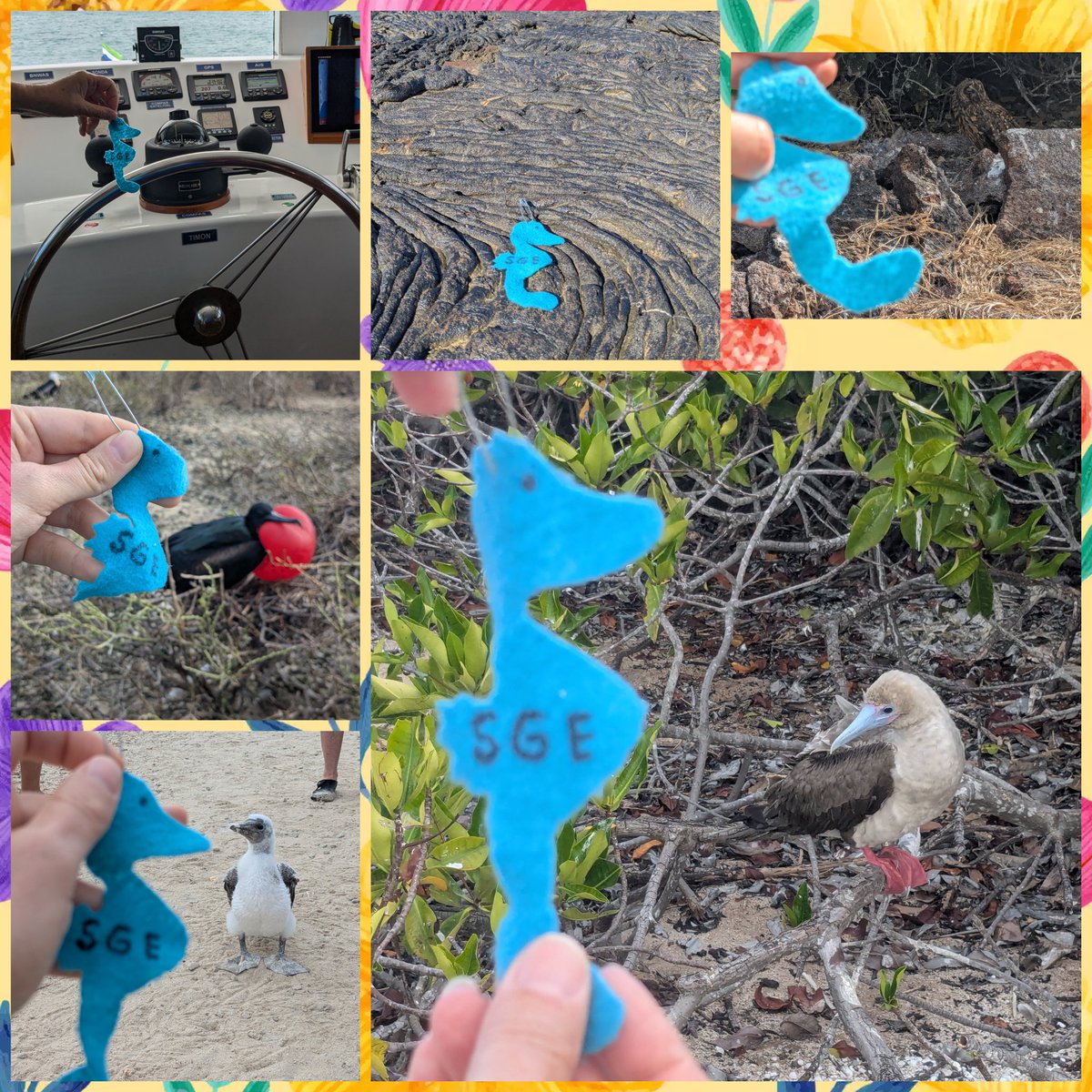 Ms.Stetson tweet media