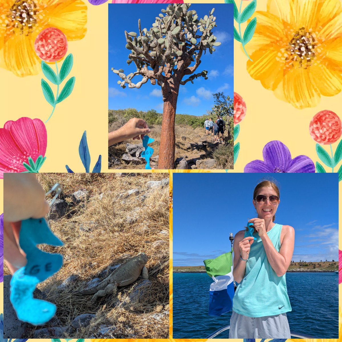 Ms.Stetson tweet media