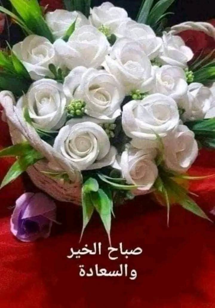 👇👇👇👇👇👇👇