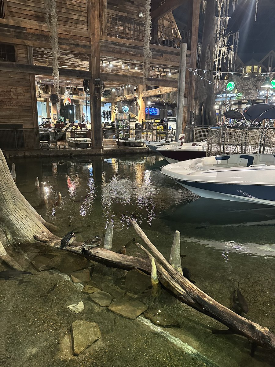knittykitty's tweet image. A lovely afternoon hanging out at the Bass Pro Shops Pyramid, hope I haven’t missed any news or anything!