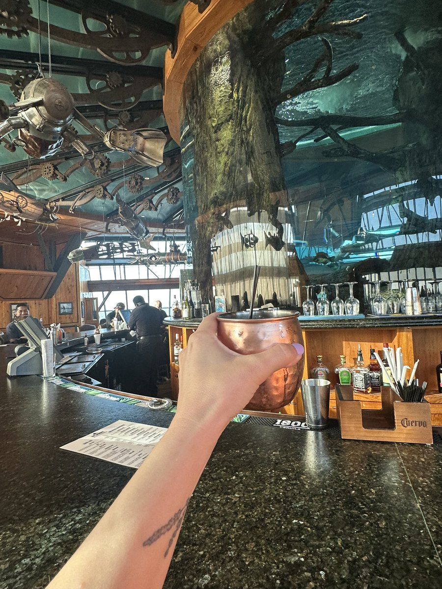 knittykitty's tweet image. A lovely afternoon hanging out at the Bass Pro Shops Pyramid, hope I haven’t missed any news or anything!