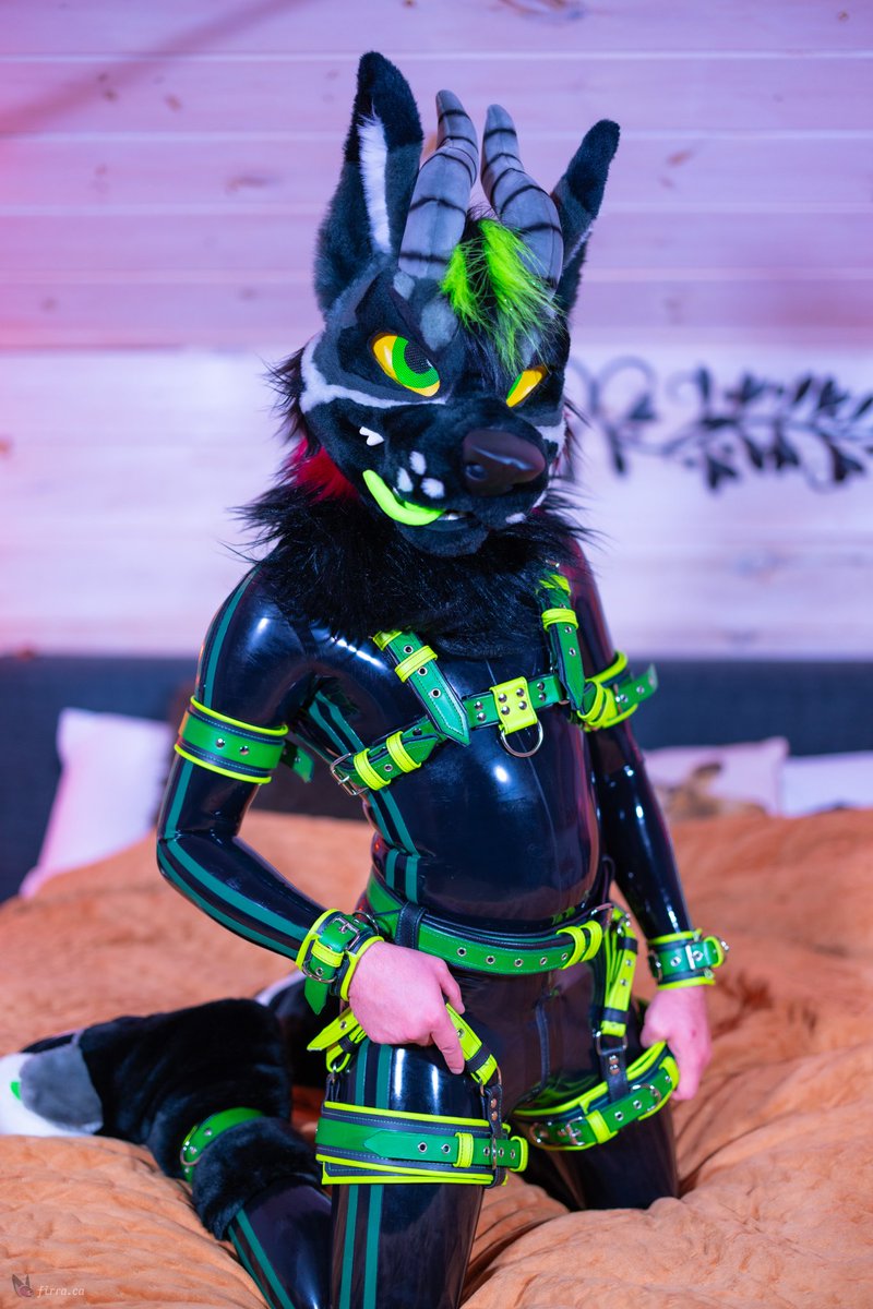 You catch me like this on #SqueakySaturday, what do you do??

📸 <a href="/FirraWoof/">Firra @ AC</a>