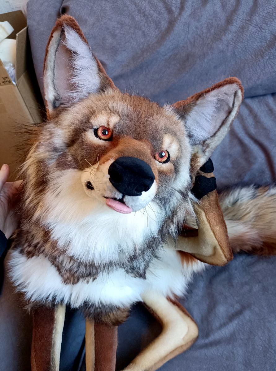 Coyote prototype is done!
Making a few edits but overall happy with them ^^
They will be off to their new home soon~

Making one more test yote and then I will make the plush available to buyers :)