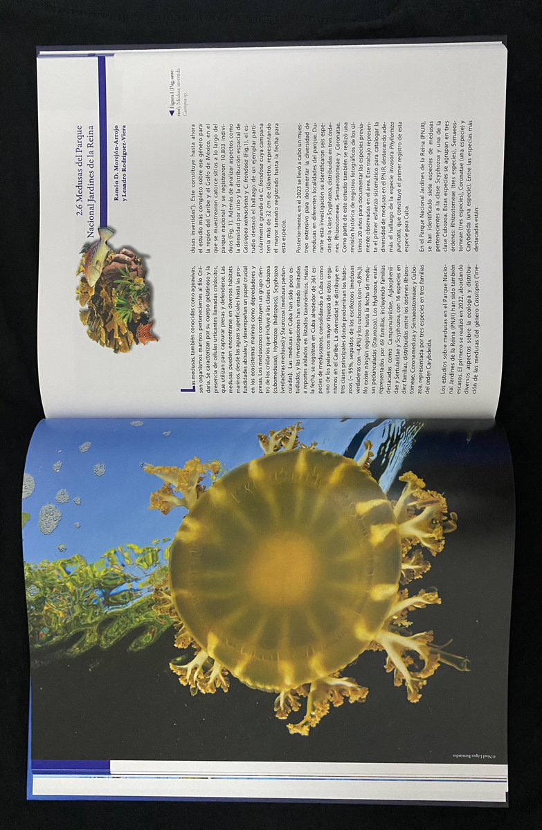 Finally in my hands... a tribute to Jardines de la Reina National Park on its 15th anniversary. This has been an opportunity to capture the uniqueness of this Protected Area, the place where the first ecological studies of jellyfish in Cuba were carried out.