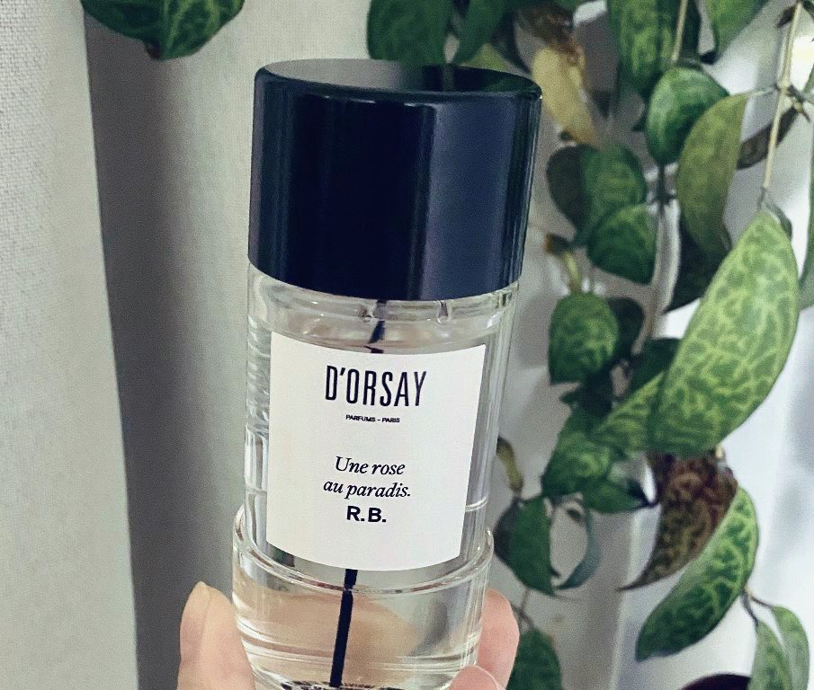 ☆hirondelle☆ (@hirondelle33112) / Posts / X