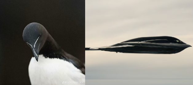 Dev (@SilkroadIntel) / Posts / X