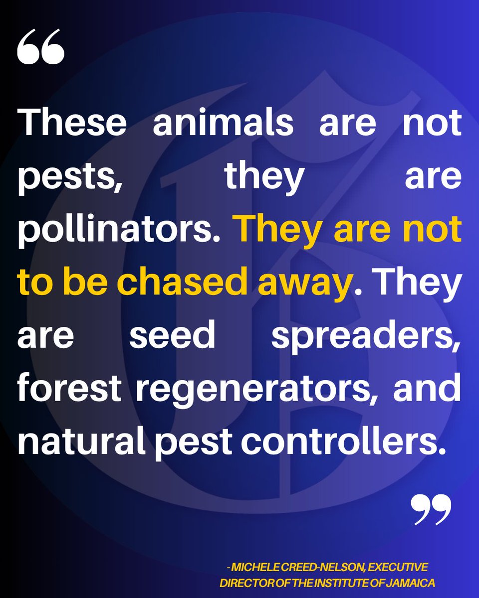 Jamaicans are being urged to help preserve the country’s bat population, which plays a vital role in safeguarding biodiversity and ensuring the stability and resilience of ecosystems.

Read more: jamaica-gleaner.com/article/news/2… #GLNRToday