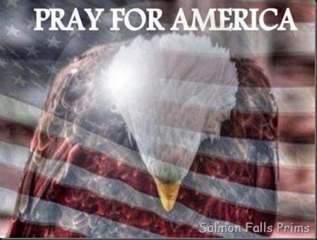 <a href="/therealroseanne/">Roseanne Barr</a> <a href="/SeeWeToldu2/">SeeWeToldu</a> Prayers  🙏 for our troops 🇺🇸
