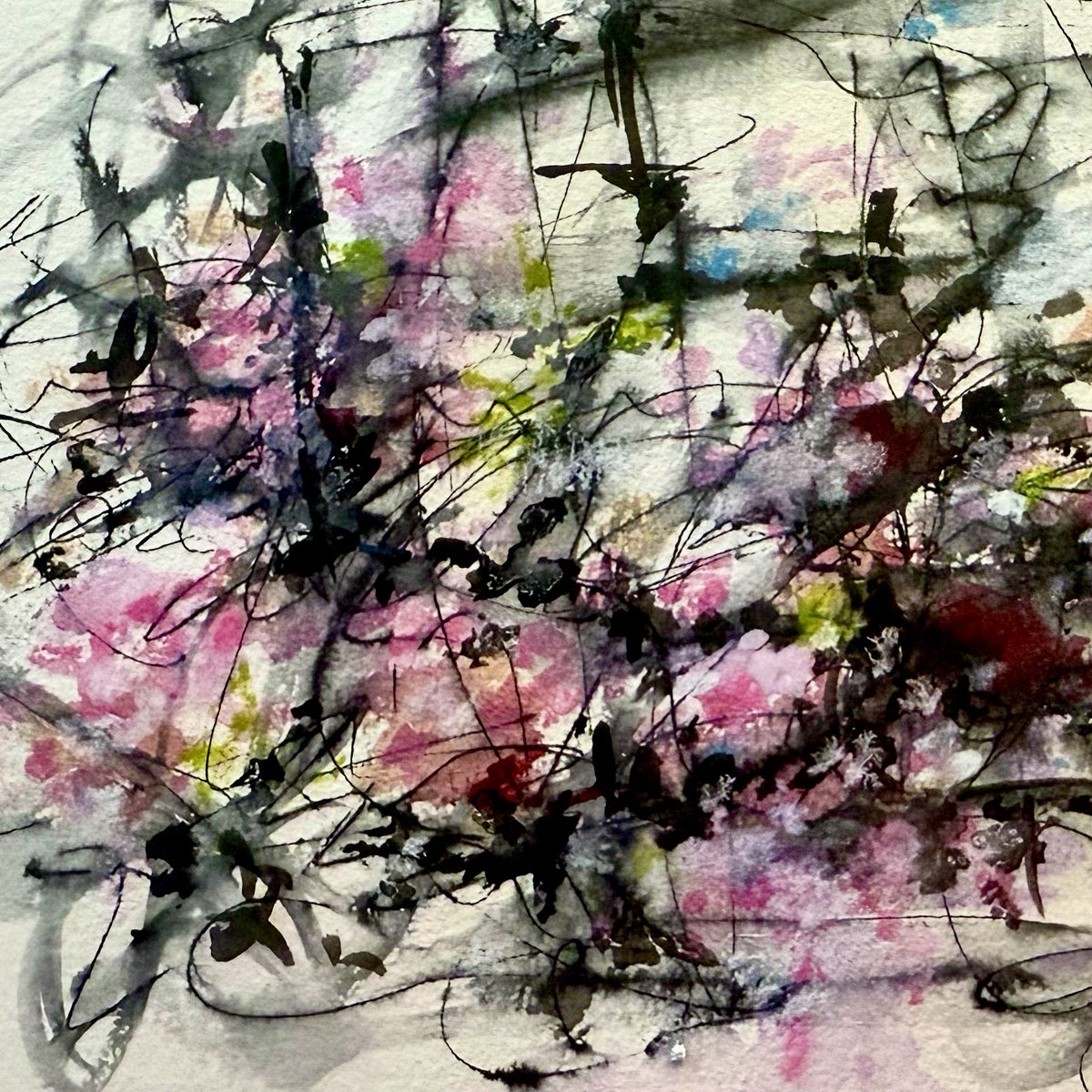 The dichotomy of roses and thorns 🌹