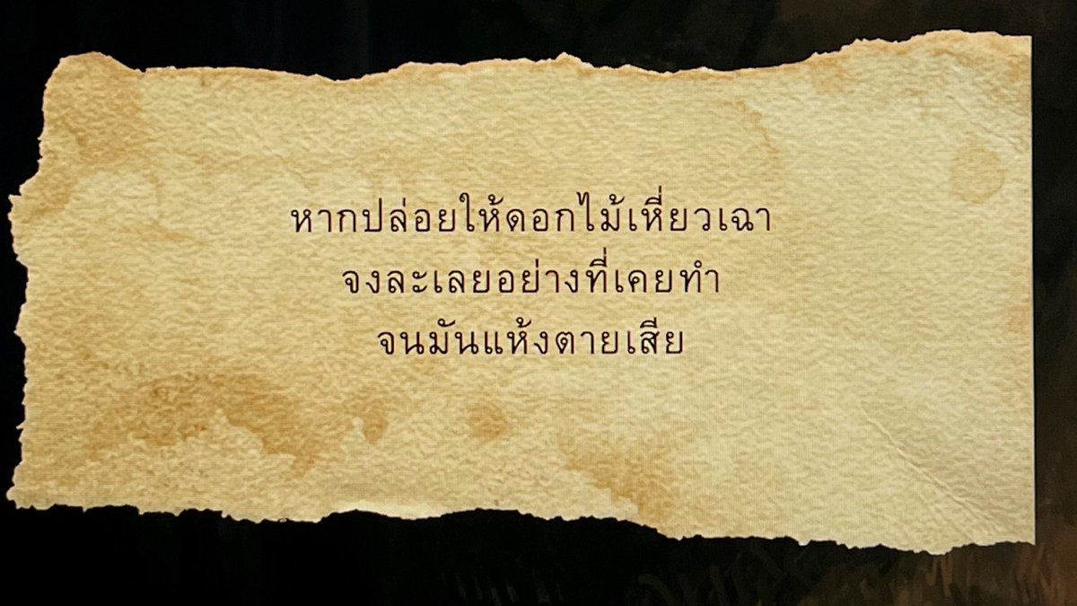 norr tweet media
