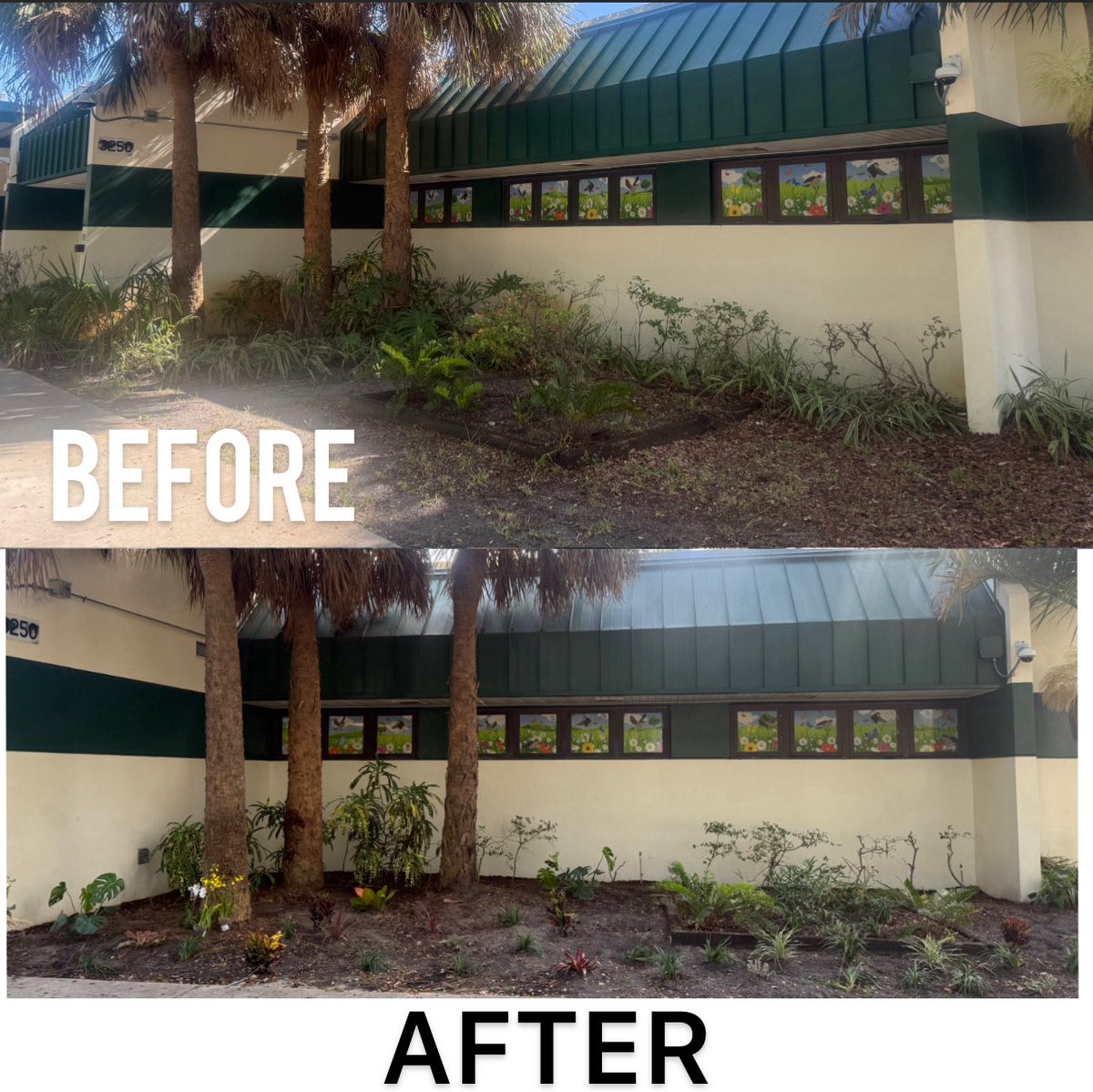 Nandrané Fairclough (@nandranew) on Twitter photo <a href="/LarkdaleES/">Larkdale Elementary School</a> Phase 1 Beautification is underway! Thanks to <a href="/mrveronez/">Thiago Veronez</a> for all of your hard work & summer days spent making it all happen! <a href="/BoydAndersonHS/">Boyd Anderson HS</a> soccer & netball players, their parents and my family members, thanks for volunteering. <a href="/HomeDepot/">The Home Depot</a> THANKS for partnering w/us! <a href="/LarkdaleES/">Larkdale Elementary School</a> Phase 1 Beautification is underway! Thanks to <a href="/mrveronez/">Thiago Veronez</a> for all of your hard work & summer days spent making it all happen! <a href="/BoydAndersonHS/">Boyd Anderson HS</a> soccer & netball players, their parents and my family members, thanks for volunteering. <a href="/HomeDepot/">The Home Depot</a> THANKS for partnering w/us!