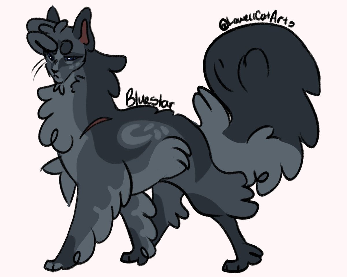 LowellCatArts's tweet photo. Have some cattos
#warriorcats
#bluestar
#redtail
#yellowfang
#whitestorm https://t.co/U28HNC9obQ