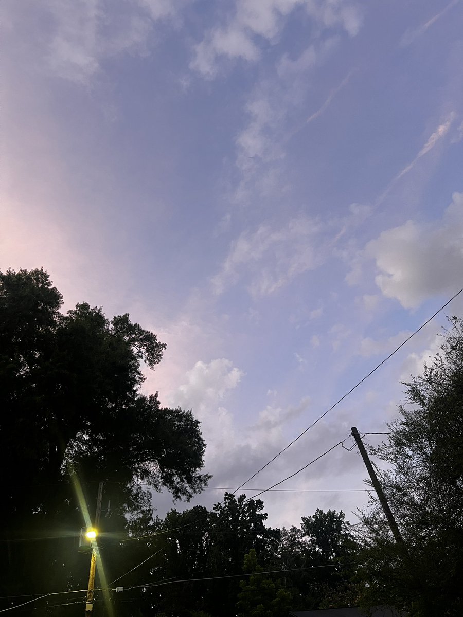 Chase•Alex tweet media