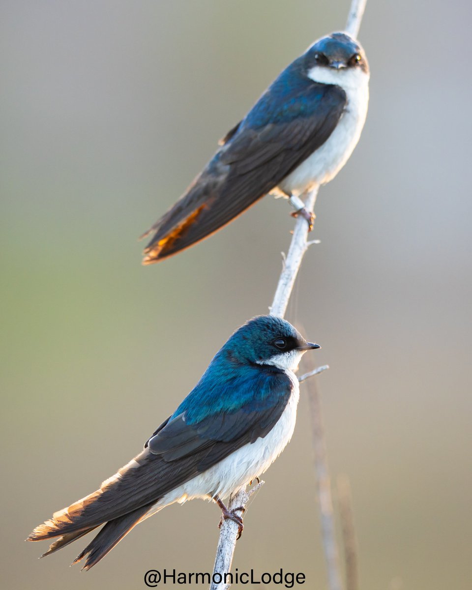 QP/Share a photograph you took. No description 🙊