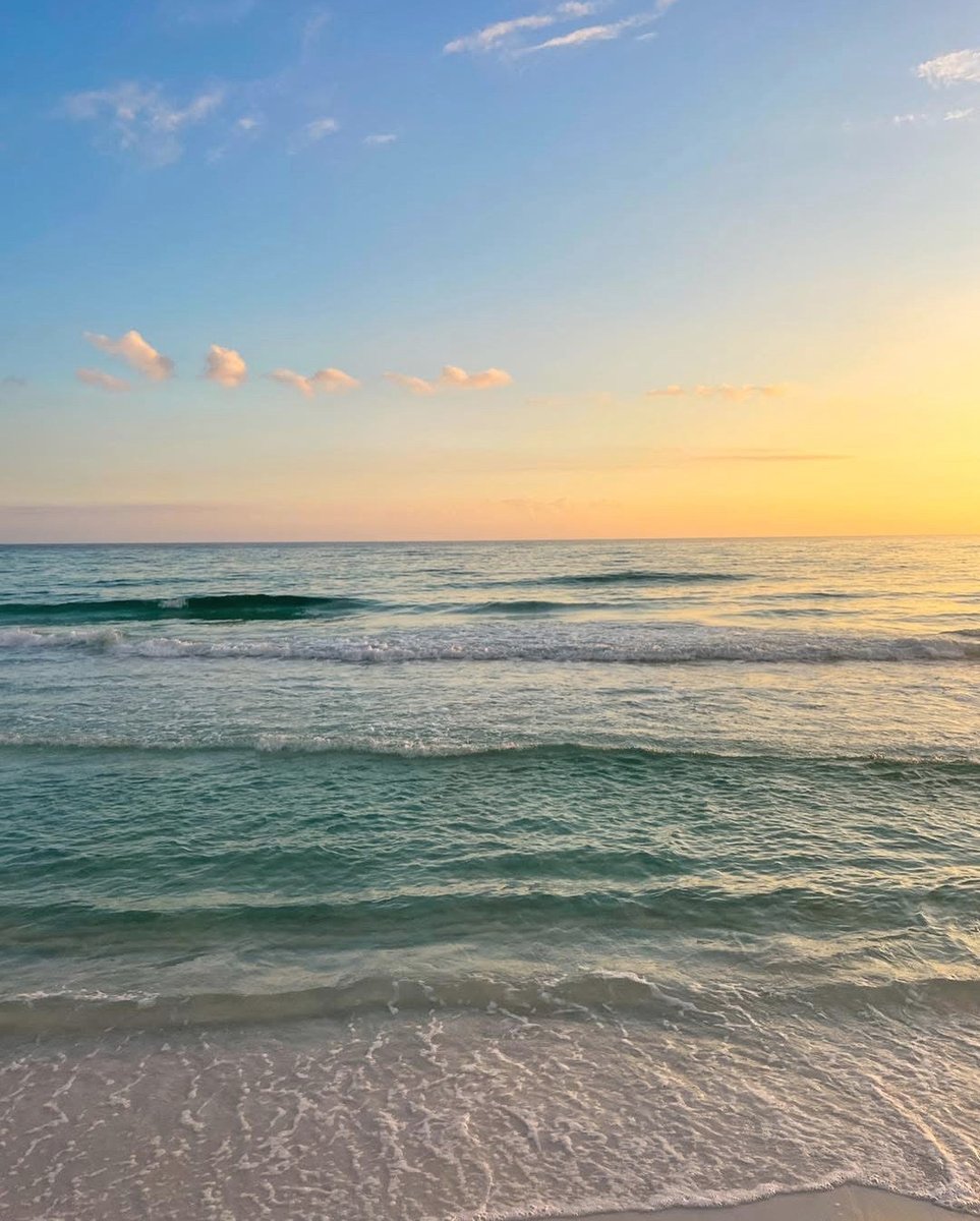 Hilton Sandestin tweet media