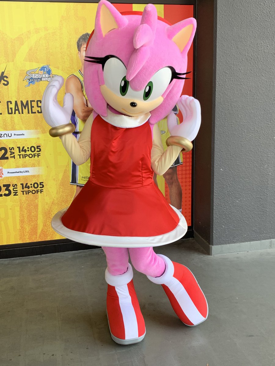 Daily Amy Rose 🌸 (@dailyamys) on Twitter photo 
