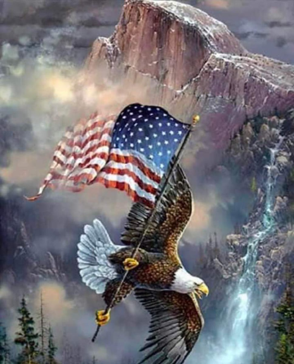 ruxq265303's tweet image. GOD BLESS AMERICA 🇺🇸🇺🇸🇺🇸🇺🇸