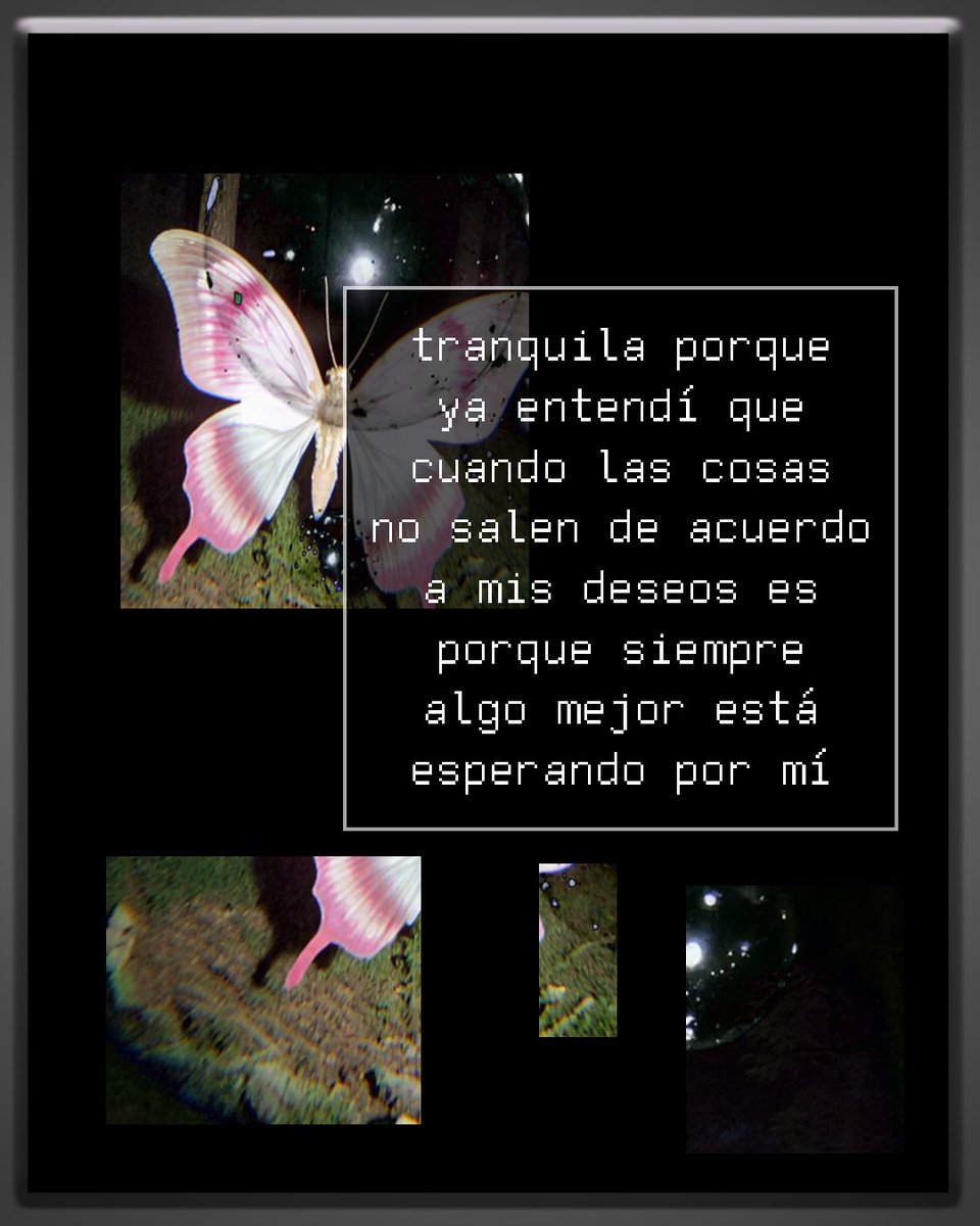 basxfia's tweet photo. https://t.co/PTdgnUBRn5