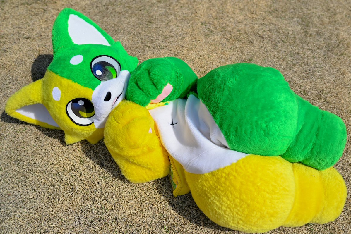 へそ天っ!