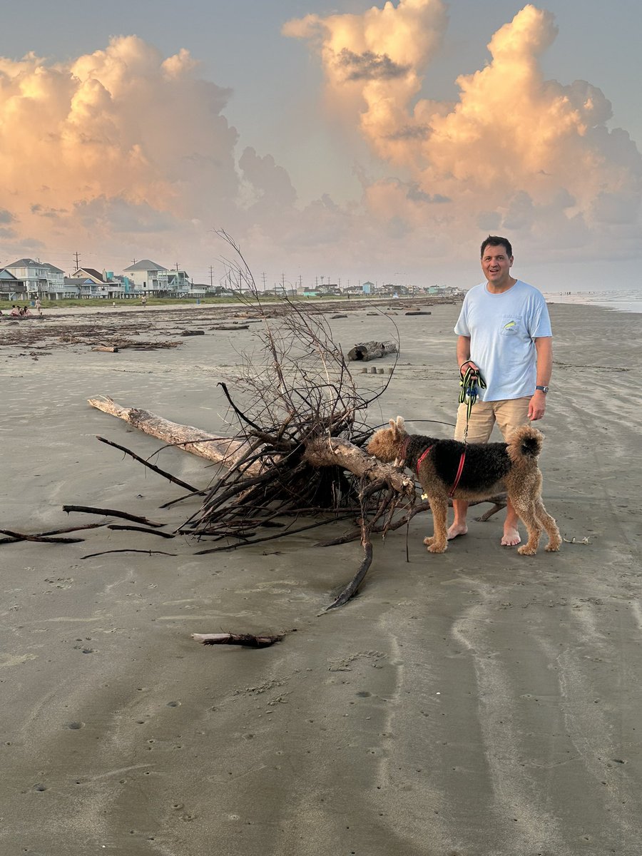 KateCPerez's tweet photo. Galveston…driftwood on the West End beaches is no joke! https://t.co/k0aKluLav3